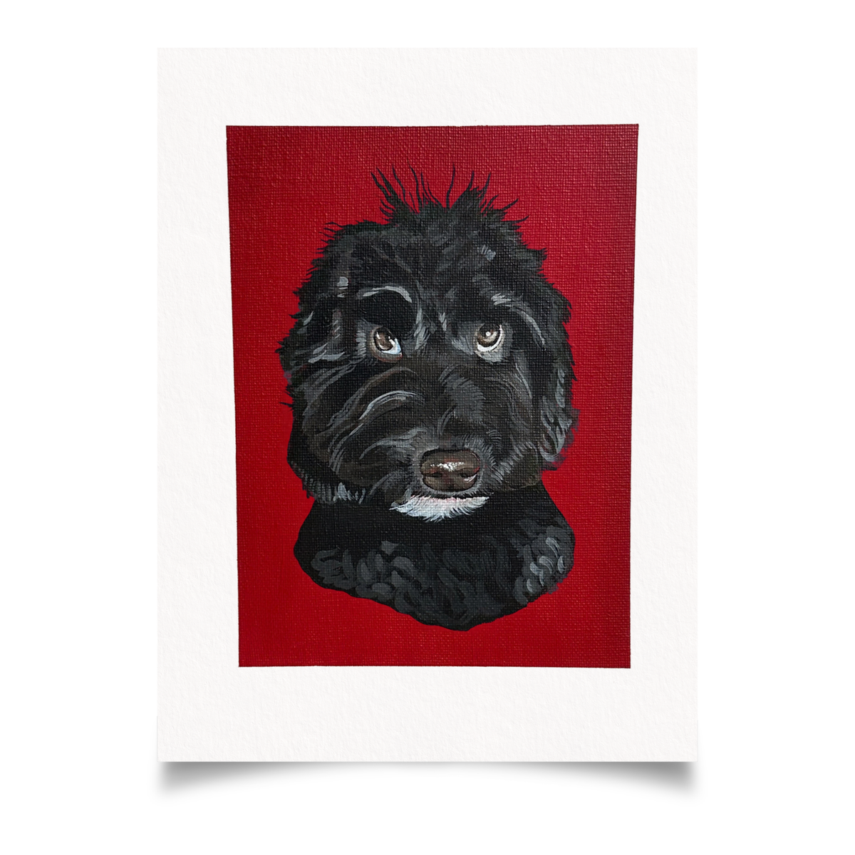Coloured Canvas Pet Portrait