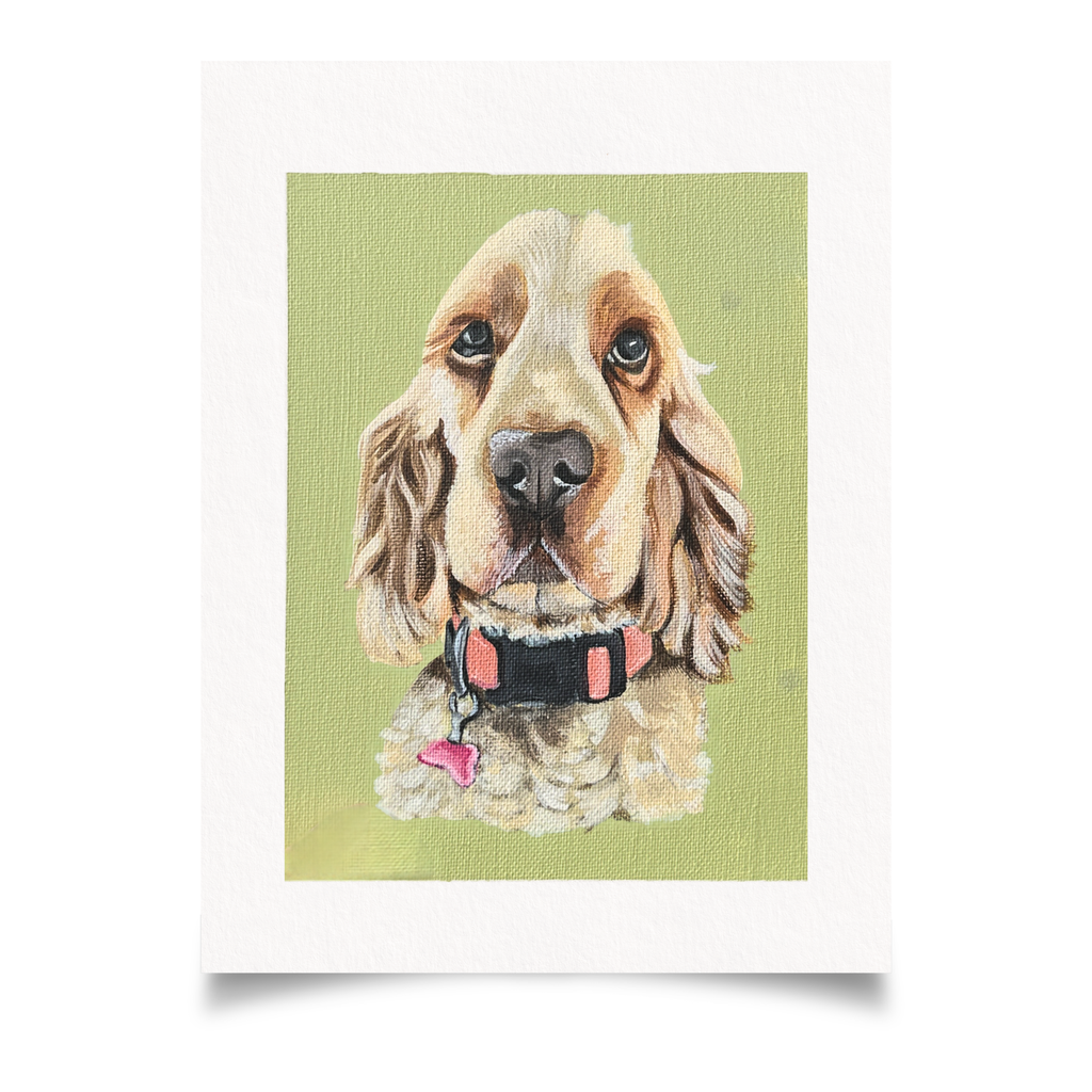 Coloured Canvas Pet Portrait